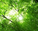 あなたらしさを占います 生まれる前に交わしてきた星との約束を思い出しましょう イメージ1