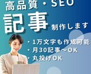 5記事19000で高品質なSEO記事を制作します モニター価格！コストを抑えて高品質な記事を作成します イメージ1