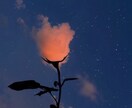 お話聞きます。求められれば思うこと話します 何でも聞きます。必要無ければほんとに聞くだけに徹します。 イメージ1