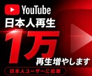 YouTube日本人1万再生~増やします youtube 日本人10,000再生！キーワード指定可能！ イメージ14