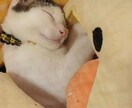 幅広くお悩みお聞きいたします 幅広く心のモヤモヤ晴らしたい時に イメージ1