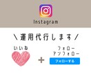 Instagramのいいね・フォロー作業代行します 適切なターゲット層に向けて丁寧に手作業で行います♩ イメージ2