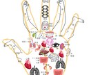 誠山会手相占い講座『✫基礎コース★』が修得できます 本格的な『プロの手相家✋』を目指すための手相占い講座資料です イメージ5