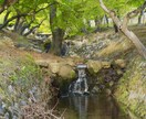 風景、物、などを撮ります 依頼者が満足いく最高の写真を撮らせていただきます！ イメージ3