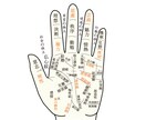 気になるお相手との相性や人生の道標をお伝えします 手相、算命学などから総合的に鑑定致します。 イメージ3