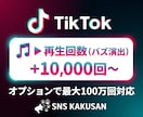 TikTok再生回数「1万回」手配します ⭐️おすすめ表示のブーストに！圧倒的なバズ演出で成長支援 イメージ1