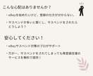 eBay・ペイオニア登録を全面サポートします サスペンド対策のプロが支援します！サスペンドされても安心！ イメージ2