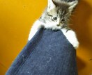 つらい気持ち、悲しみから愚痴まで何でも聴きます 話してスッキリ、お悩みごとの改善に尽力します。お気軽にどうぞ イメージ2
