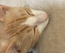 現役介護士が介護に関する悩みや質問に答えます ご家族、または利用者の事で悩んでる方へ イメージ1