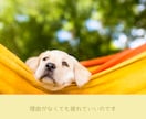 3日間心の専門家がメッセージでカウンセリングします あなたの気持ちに寄り添いながら、一緒に心の整理をします イメージ8