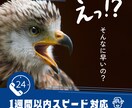 個人事業主の方必見！ワードプレスでHP制作します 知識のない方でも大歓迎！安くて本格的なHPを欲しい方にお勧め イメージ4