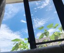 1人で考えずに一緒に考えます 1人より2人で！1人で考え込まずに一緒に考えましょ！ イメージ3
