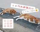 にゃんこ占いでみる10月の運勢＊ほっこり占います 心がふっと軽くなるような、10月の運勢をお届けするにゃよ イメージ1