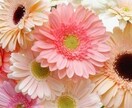 仮予約の方優先。私からダイレクトメッセージで知らせたかたのみ占います。 イメージ1