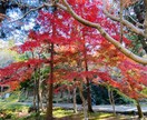 旅行のプランニング頑張ります せっかくの旅行なら、楽しく効率よくいろんなところに！ イメージ4