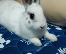 日常の愚痴イライラ聴きます 介護や近所付き合い、頭に来た事や気が滅入りそうな事 イメージ1