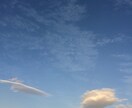 ペットロスで悲しんでいるあなたへ　お話聴きます 誰にも話せず、一人で悲しみを抱えていませんか？ イメージ1