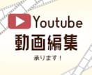 希望に寄り添ったYoutube動画を制作します 「伝えたい」を全力サポート！わかりやすく丁寧に作成！ イメージ1