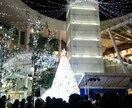 些細なことも言いにくい事もゆっくり伺います 短いお話でも大丈夫。声を出してみませんか？ イメージ10