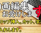 動画にカット、字幕、テロップお入れします あなたのリクエストにお答えします！ イメージ2