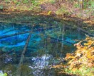 北海道のおばさんがお話聞きます 気分転換にいかがですか(⁠^⁠^⁠) イメージ4
