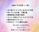 占星術であなたや彼、ご家族のトリセツお届けします 【3名様限定価格】「〇って何者？」才能・仕事・恋愛全て解説 イメージ3