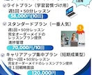 オンラインビジネス英会話レッスンを行います 30歳過ぎから習得した元講師がマインドから変えるビジネス英語 イメージ3