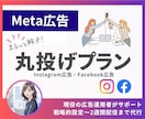 丸投げOK！Meta広告を設定～運用まで代行します 2週間プロに任せる戦略/インスタ・Facebookの基盤作り イメージ1