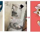 あなたの猫ちゃんをキャラクターにします ペットや好きな猫などキャラクター風イラスト作成します！ イメージ3