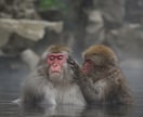 奇跡の至福ポケット音源【聴く温泉】が貴女を癒します 何度も聴けるヒーリング美音源ソルフェジオ全9種+4096Hz イメージ10