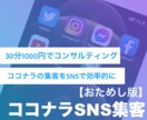 SNSを使ったココナラの集客方法を教えます InstagramやTwitterを使って効率良く案件受注！ イメージ1