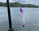 シーバスフィッシング初めての釣具選びます シーバスフィッシング初めての釣具選びお手伝い イメージ2