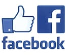 20万人の Facebook ユーザーへ広告します 【広報・リリース】SNSプロモーションを効率良く行いたい方へ イメージ4