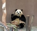 1名様限定価格1ヶ月ハッピーに生きるヒント届けます ✨チャネリング・霊視透視・霊感・霊聴・スピリチュアルを翻訳 イメージ1
