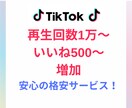 TikTok再生数10,000～増やします いいね500も増加で自然な数になり見栄え向上！ イメージ1