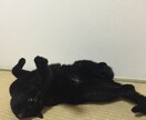 心の悩みなんでも聞きます 1人で悩まないで、話てみませんか イメージ2
