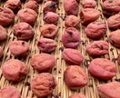 初めての梅干し作りを伴走します 初回3名様限定価格／重しなし&保存袋で少量から始める梅仕事 イメージ3