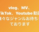 動画編集を致します 初心者ですが満足のいく作品をお作りします イメージ1