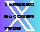 X(旧Twitter)のフォロワー増やします 100名〜対応、即日対応、補充あり イメージ4