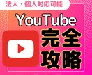YouTubeチャンネルのコンサルティングします 企業・個人チャンネル共に収益化・集客の成功実績あります イメージ1