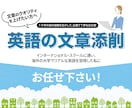 英語の文章を添削します １９年の海外経験を生かして、正確で丁寧なお仕事をします イメージ1