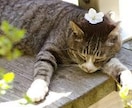 あなたのお話し聴きます 今日も生きているあなたはえらい！！ イメージ1