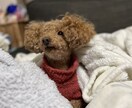 12年苦しんだ経験者が、摂食障害の悩みお聴きします あなたに寄り添ったお時間を。1人で泣いていませんか？ イメージ6