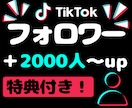 TikTokフォロワーを＋2000人増やします 【特典でいいね＋1,000】★オプションで再生数いいね可能 イメージ1