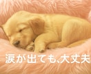 どんなことでも大丈夫。お話・気持ちお聞きします 心の荷物、そっとおろして少し心を軽くしませんか？ イメージ5