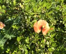 まずはとりあえず聞きます 「ちょっと楽になったかも？」を目指します☆ イメージ1
