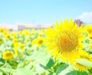 悩みのある方のカウンセリングをします 病院に行こうか迷っている人に簡単なカウンセリングを行います。 イメージ1