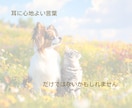 言の葉みくじをお届けします ～あなたの“現在地”をありのまま映します～ イメージ6