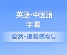 日本語動画に英語または中国語字幕を入れます 海外向け動画（英語または中国語字幕）を編集します イメージ1