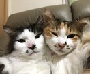 お任せください⭐️どんな話でも聞かせていただきます 若さとマジメさを売りに頑張ってます！素直な自分になれる場所 イメージ7
